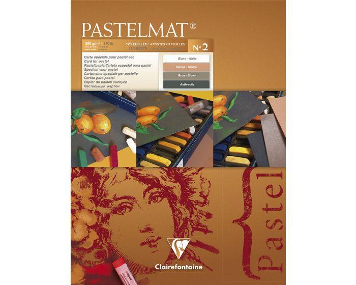 96008 - Clairefontaine Pastelmat - Glued Pads - Assorted - 12