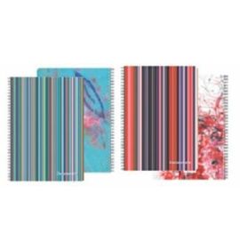 #93546 Clairefontaine Wild Stripes Wirebound Notebooks 6 x 8 ¼ Lined Assorted Covers 90 sheets