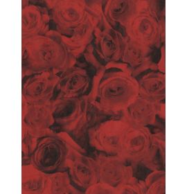 #C/574 Decopatch Red Roses 3 sheets of 1 design Decoupage paper 11 3/4 x 15 3/4